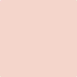 036: Orchid Pink  by Benjamin Moore