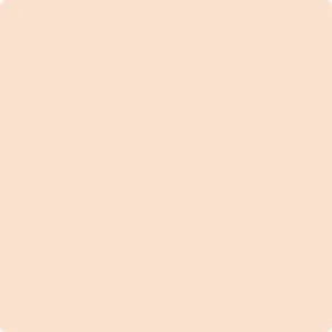 064: Nautilus Shell  by Benjamin Moore