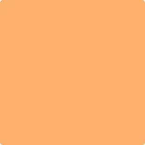 132: Tangerine Zing  by Benjamin Moore