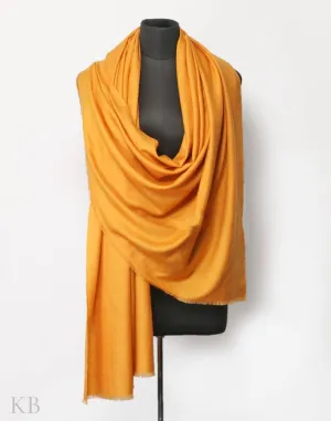 Apricot Yellow Solid Cashmere Pashmina Shawl
