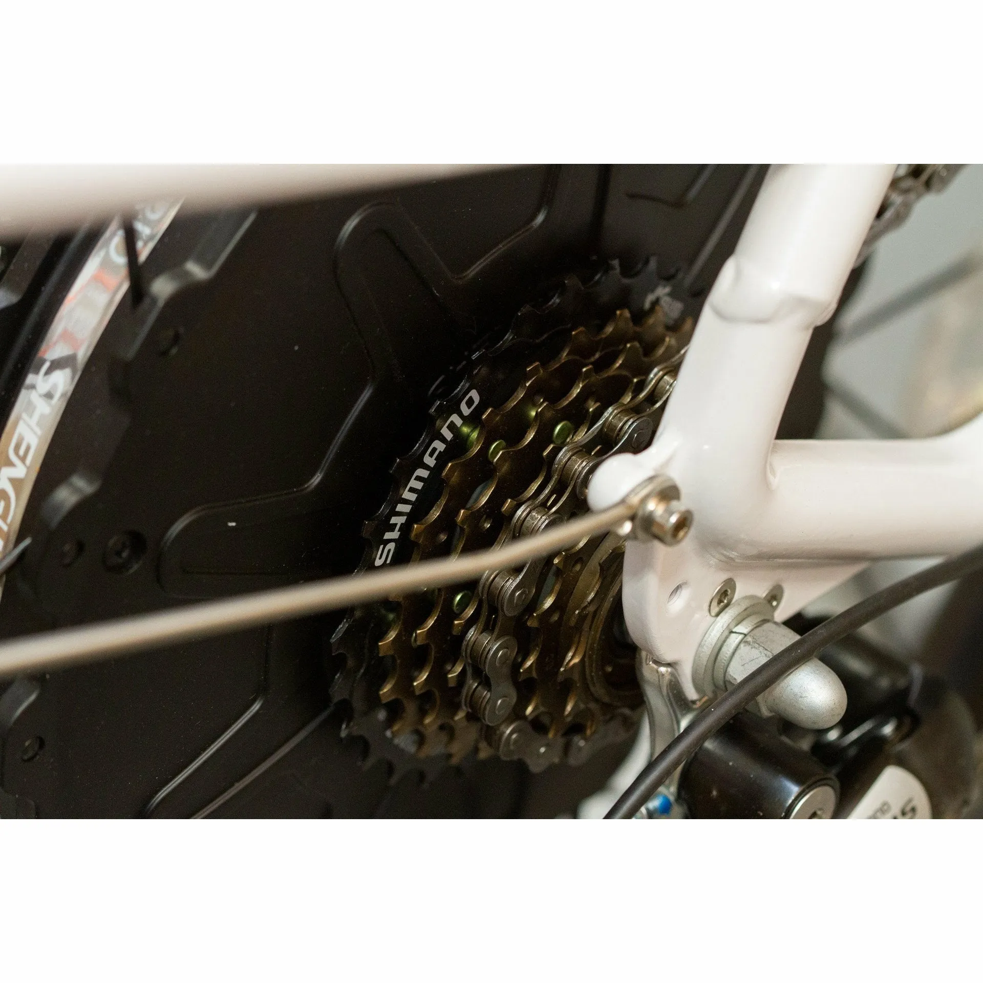 Bam EW Step Thru eWheels Electric Bike