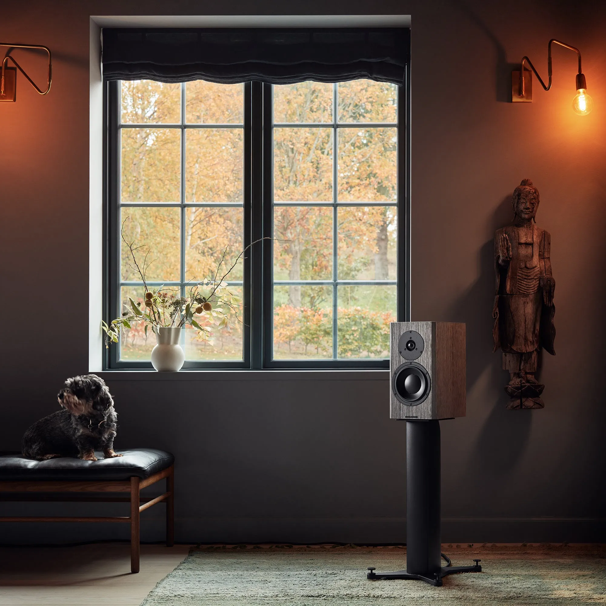 Dynaudio Special Forty Bookshelf Speakers