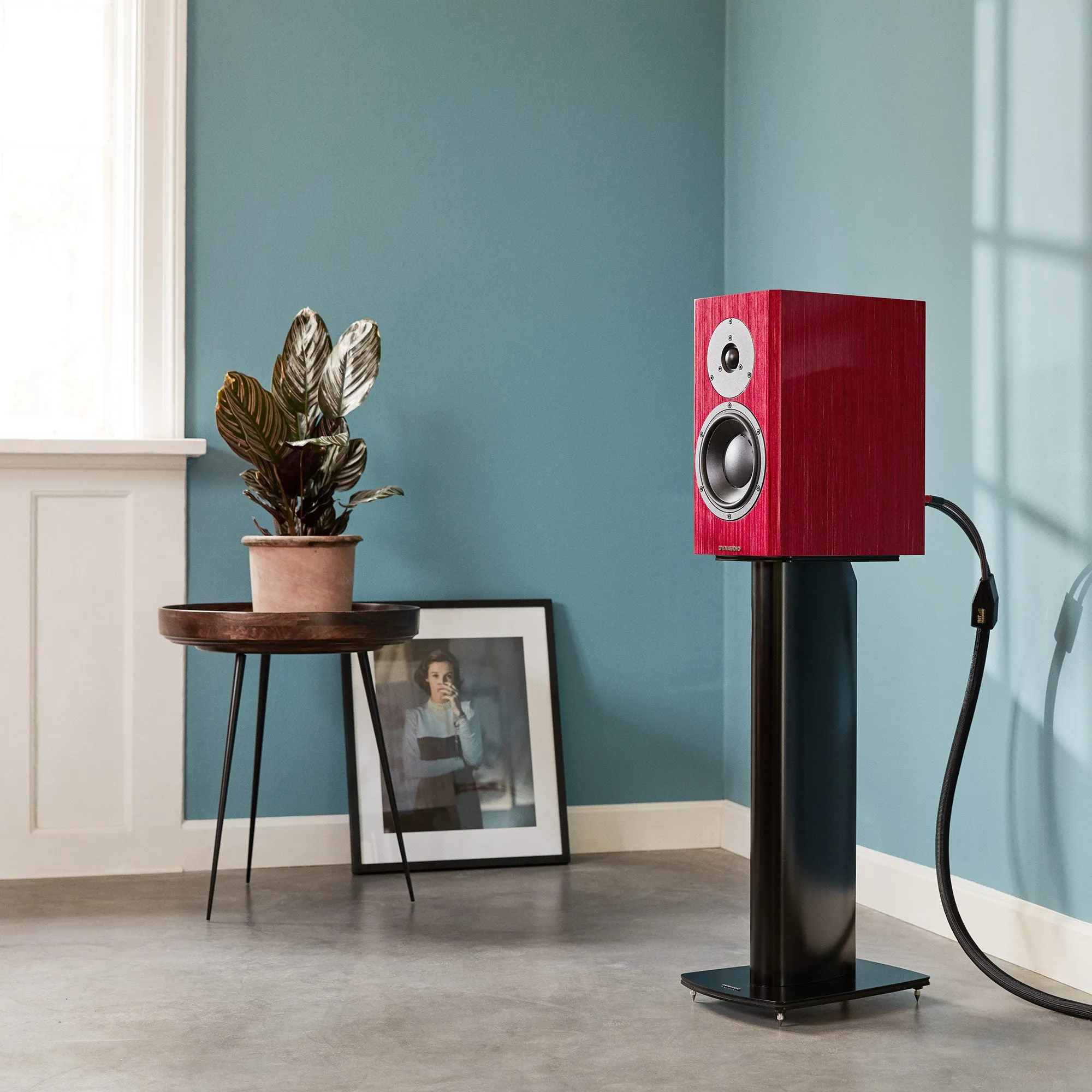 Dynaudio Special Forty Bookshelf Speakers