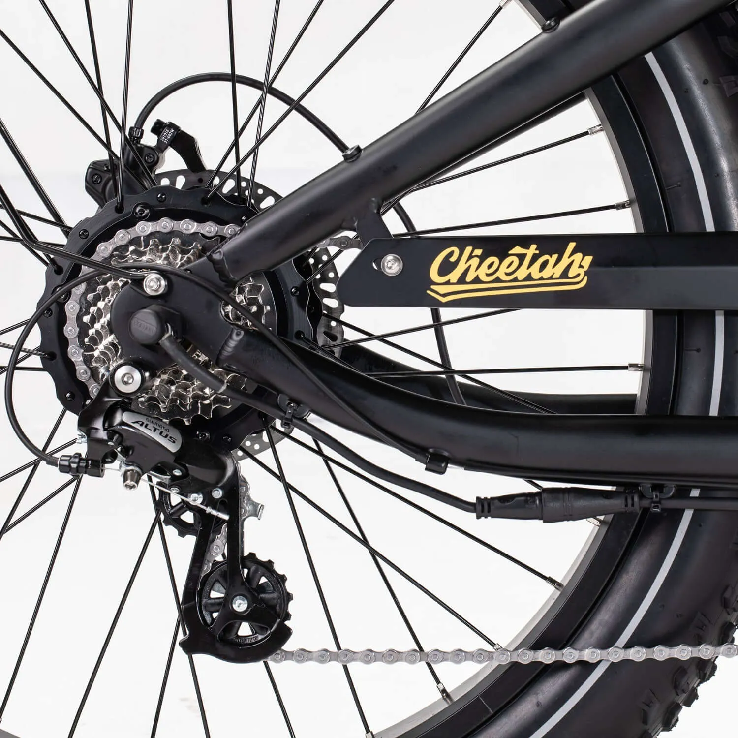Revi Cheetah Plus Cafe Racer 48V 750W Motorcycle E-Bike