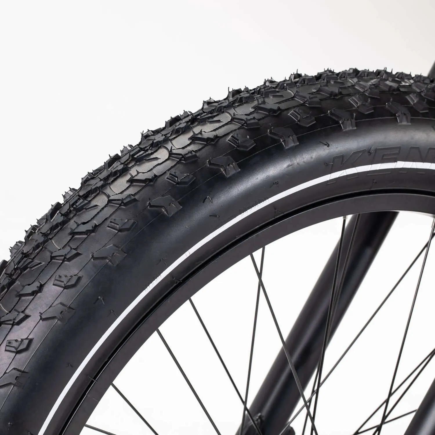 Revi Cheetah Plus Cafe Racer 48V 750W Motorcycle E-Bike